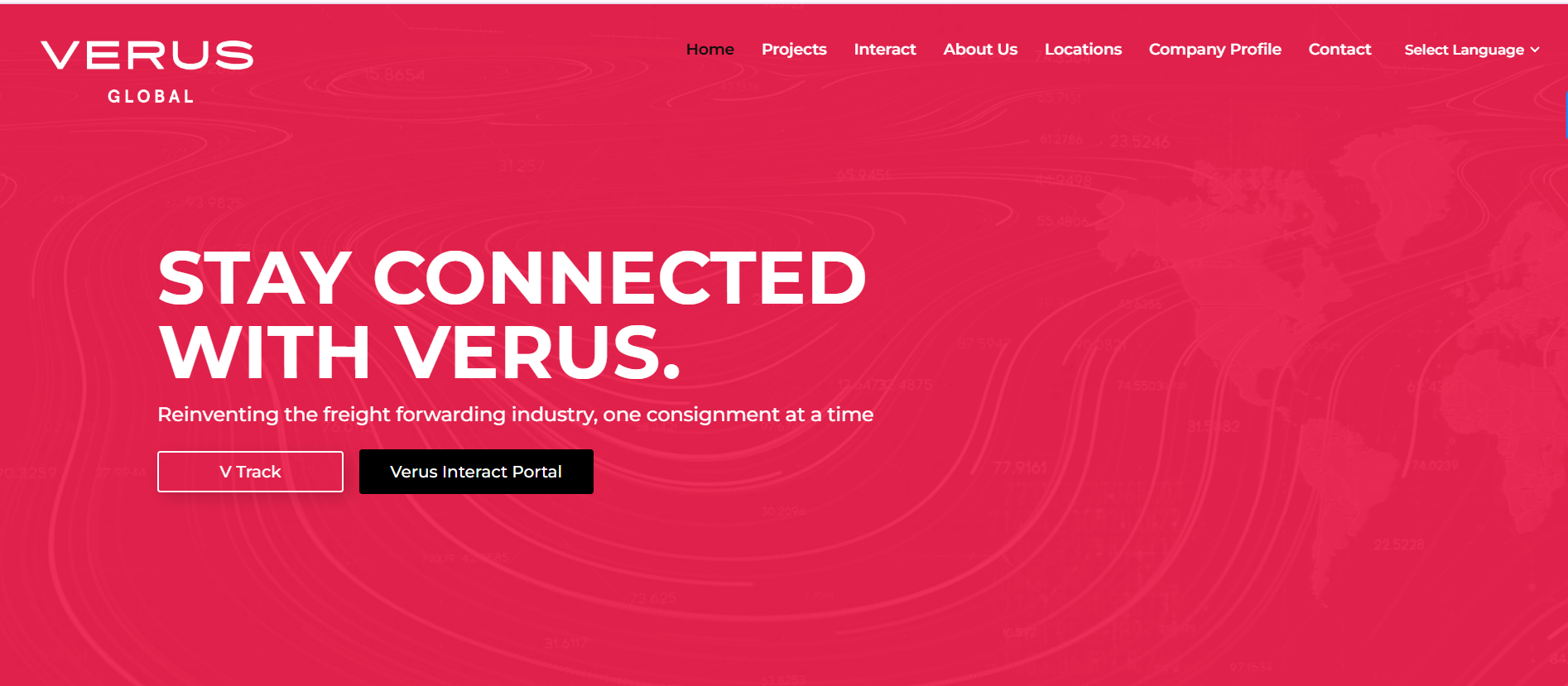 VERUS GLOBAL