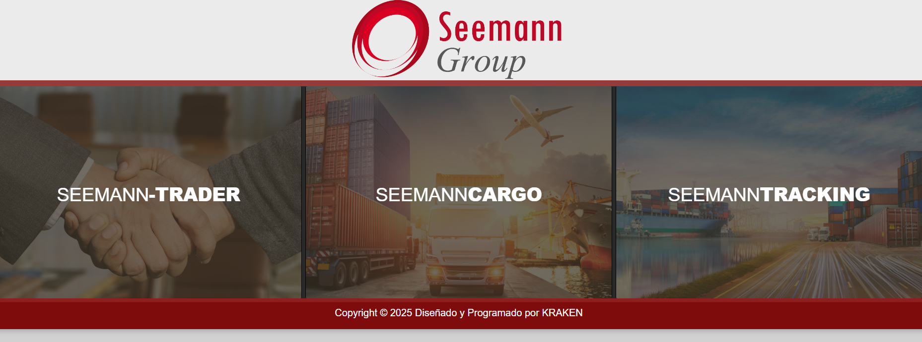 SEEMANN GROUP